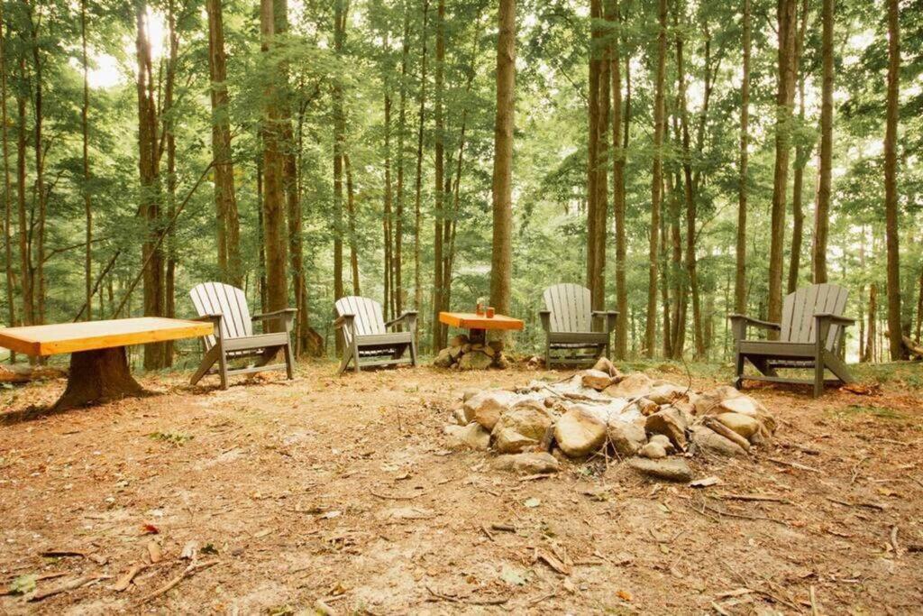 Wilderness Vista Retreat Villa Reed City Bagian luar foto