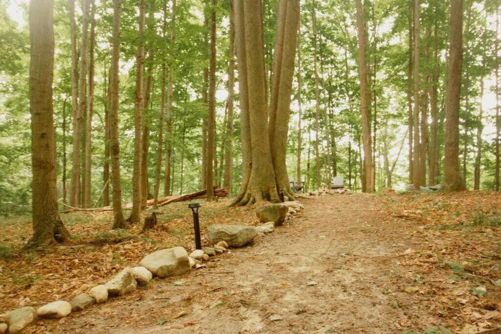 Wilderness Vista Retreat Villa Reed City Bagian luar foto